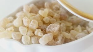 20250516 095154 300x169 20250516 095154 300x169