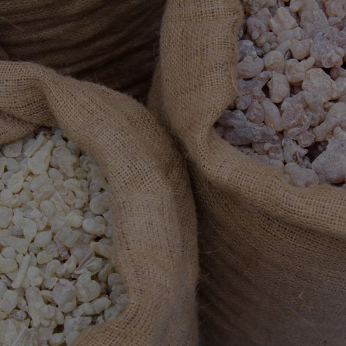 untitled design 2026 02 24t102949.627